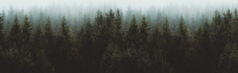 EcoOuterlands™ Men's & Women's Jackets made from Recycled Materials